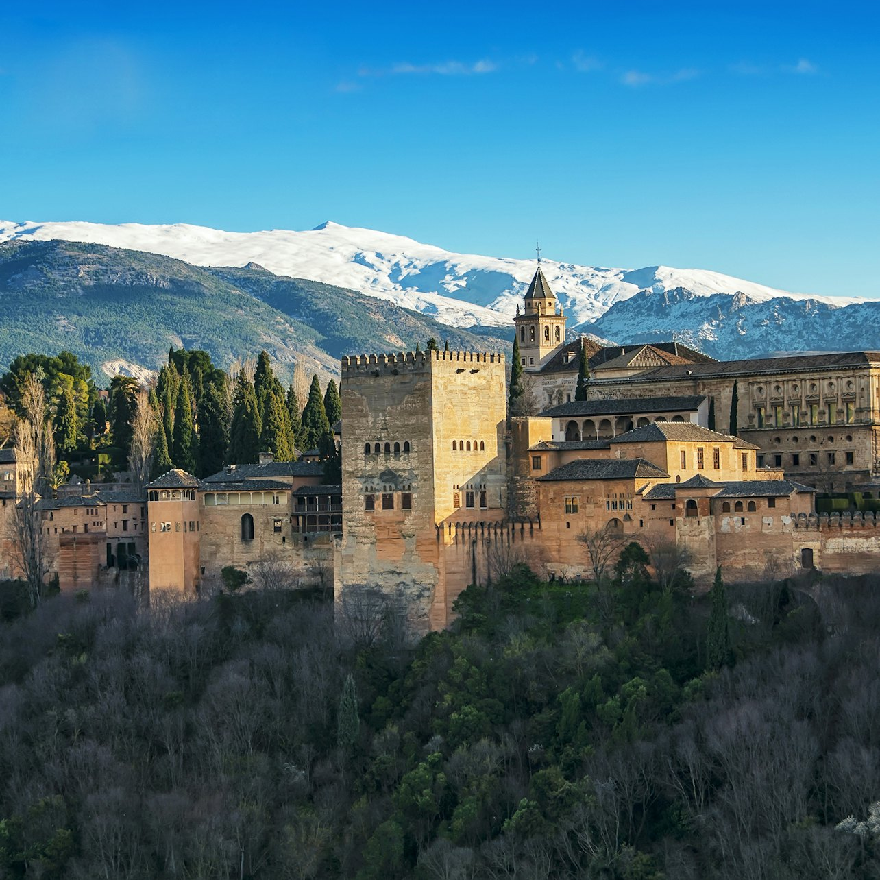 Alhambra Nasrid Palaces Premium Guided Tour In Granada Pelago