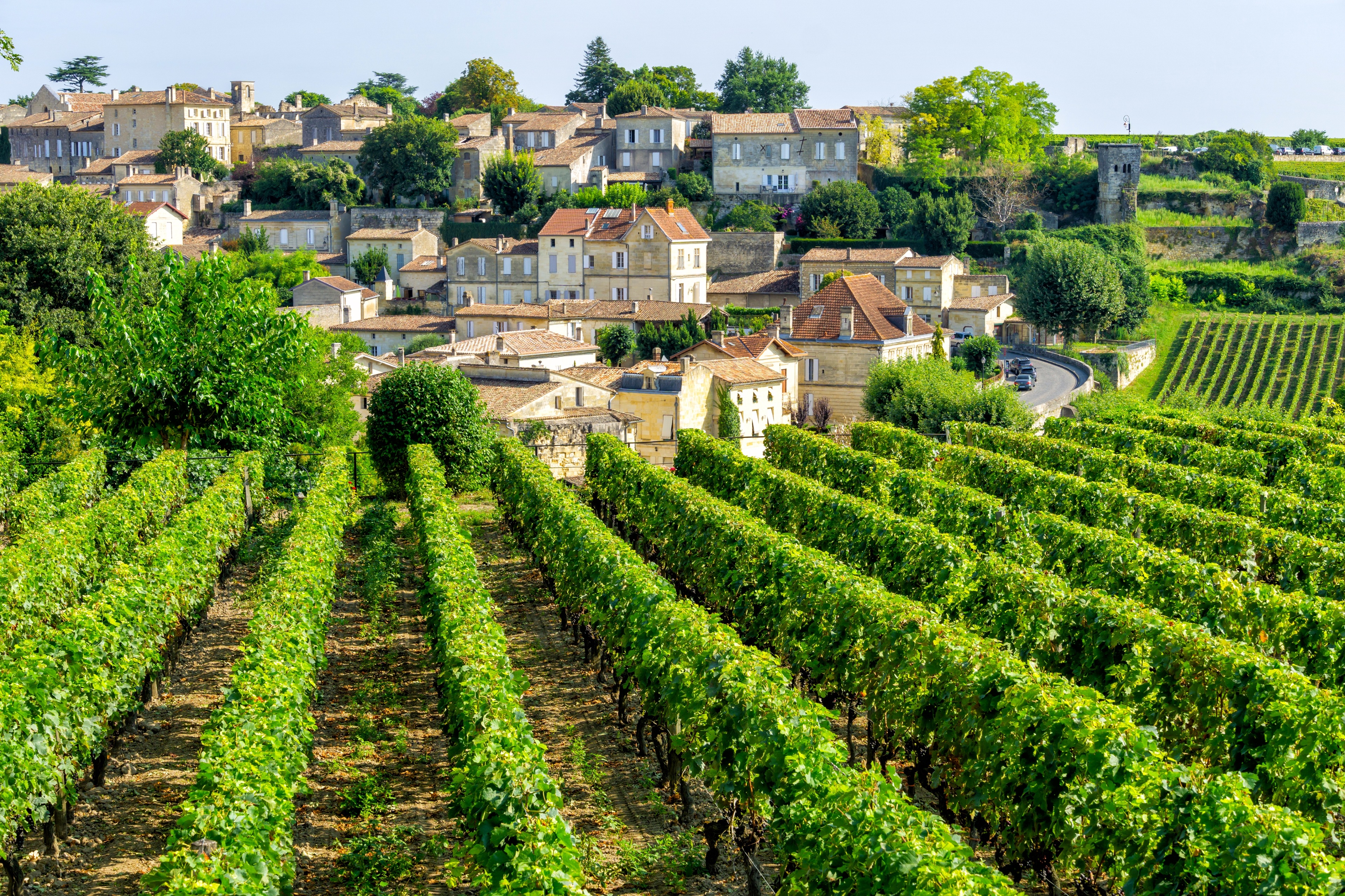 Bordeaux | Pelago