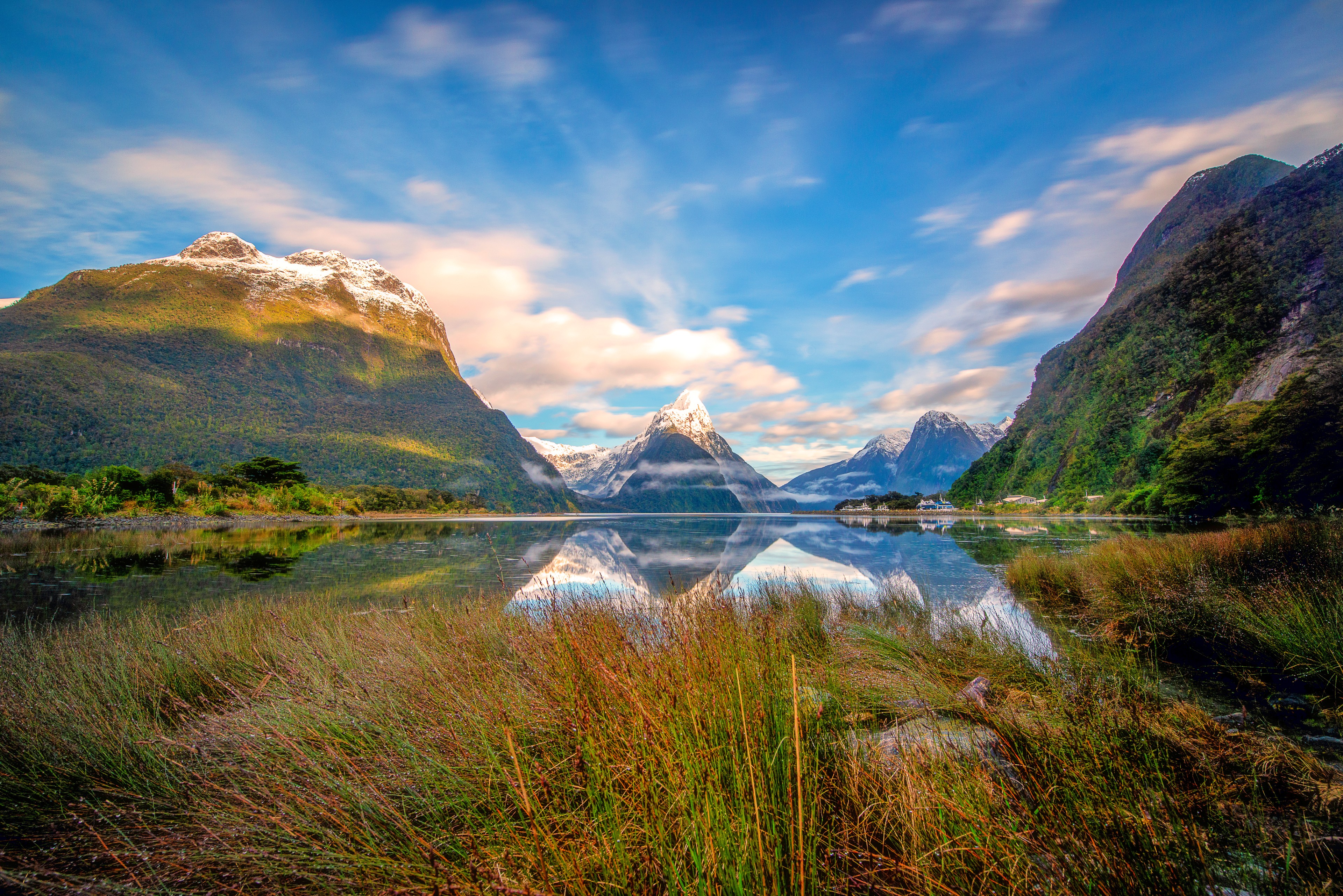 Fiordland Milford Sound | Pelago