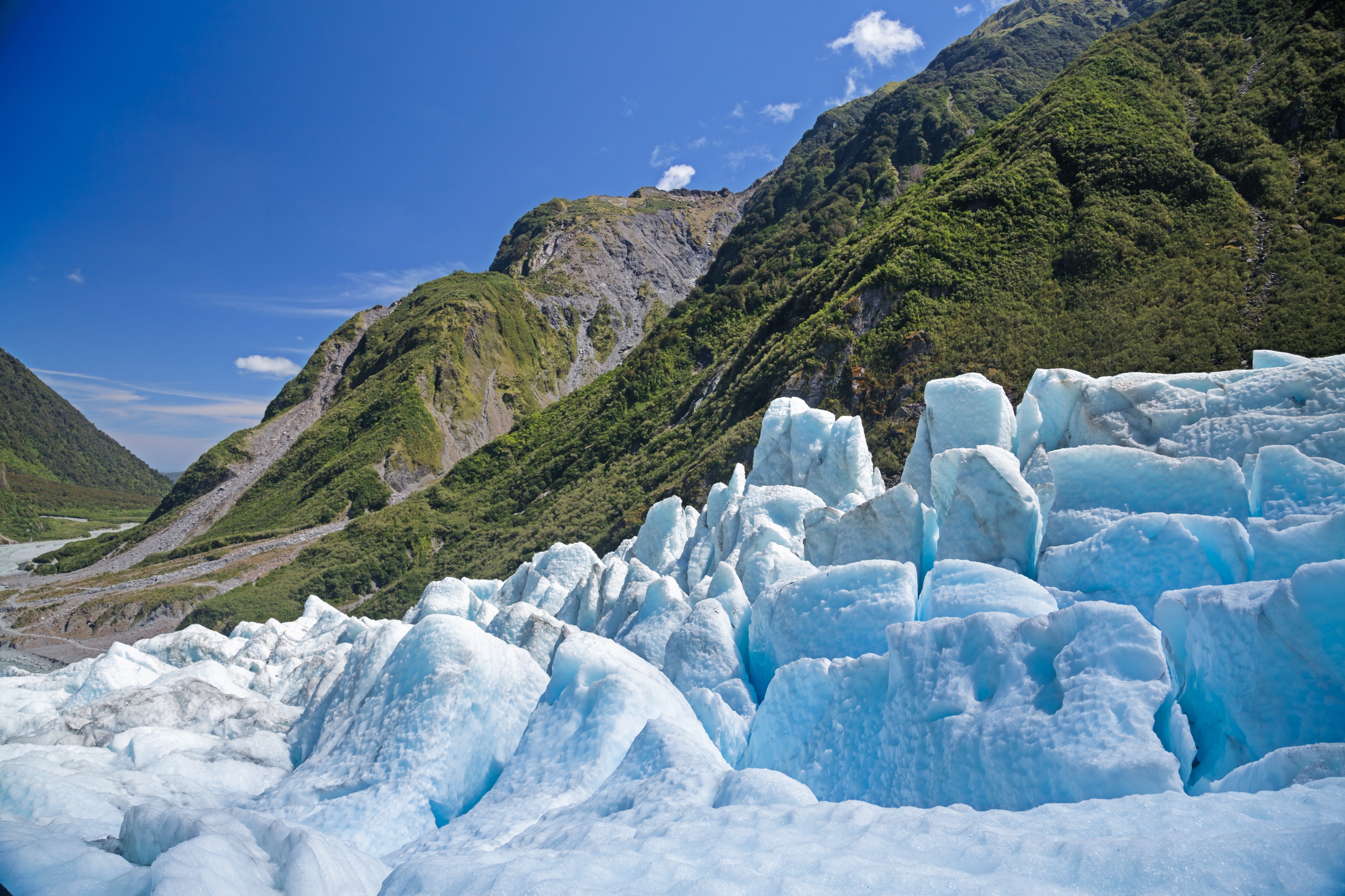 Fox Glacier | Pelago