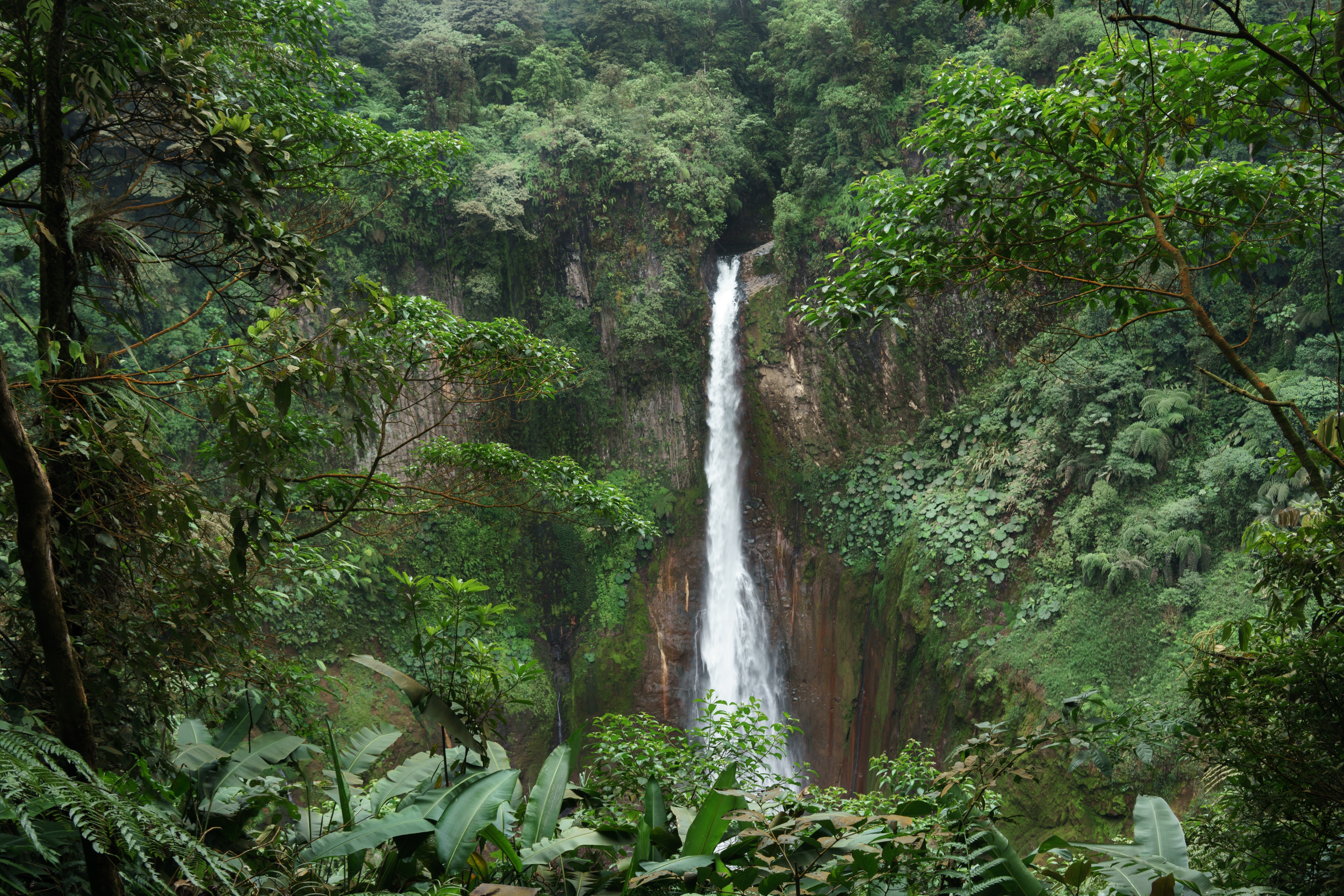 La Fortuna | Pelago