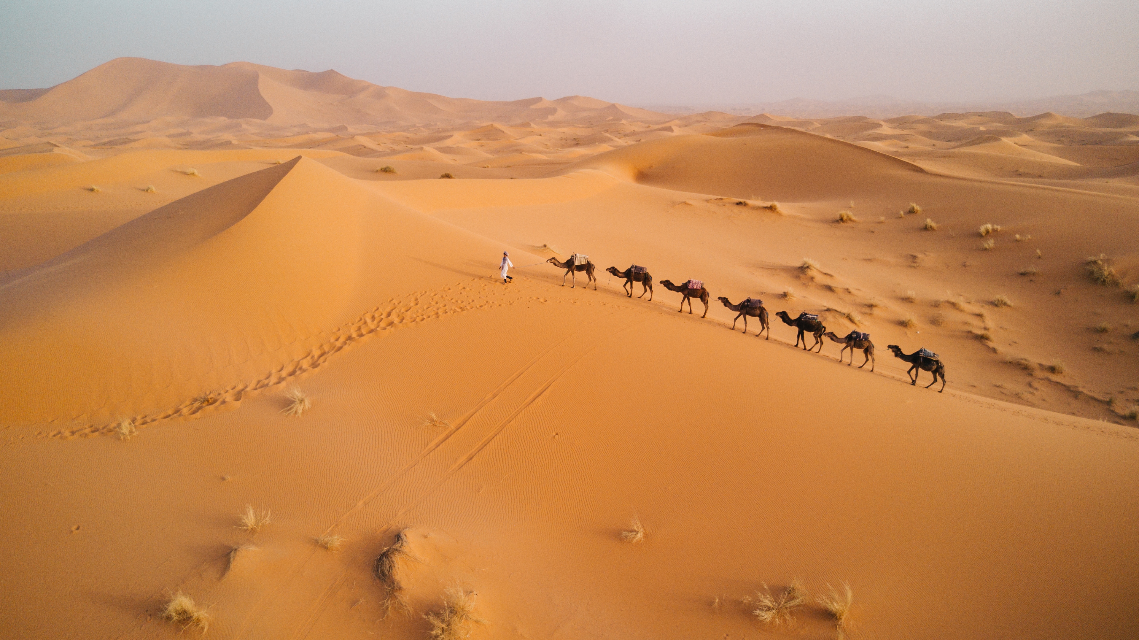 Merzouga | Pelago