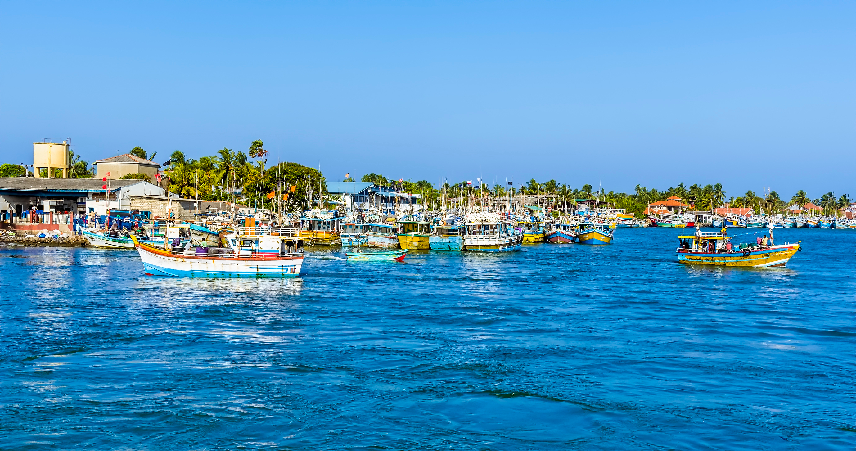 Negombo | Pelago