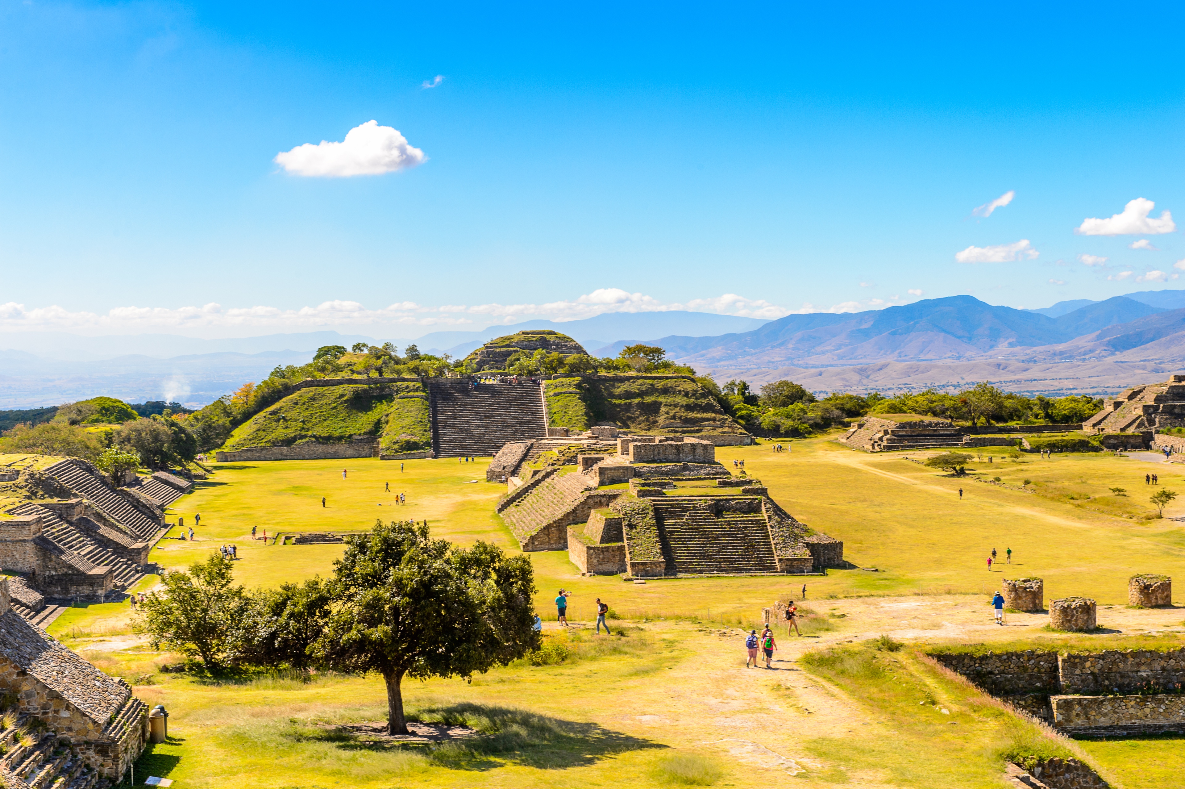 Oaxaca | Pelago