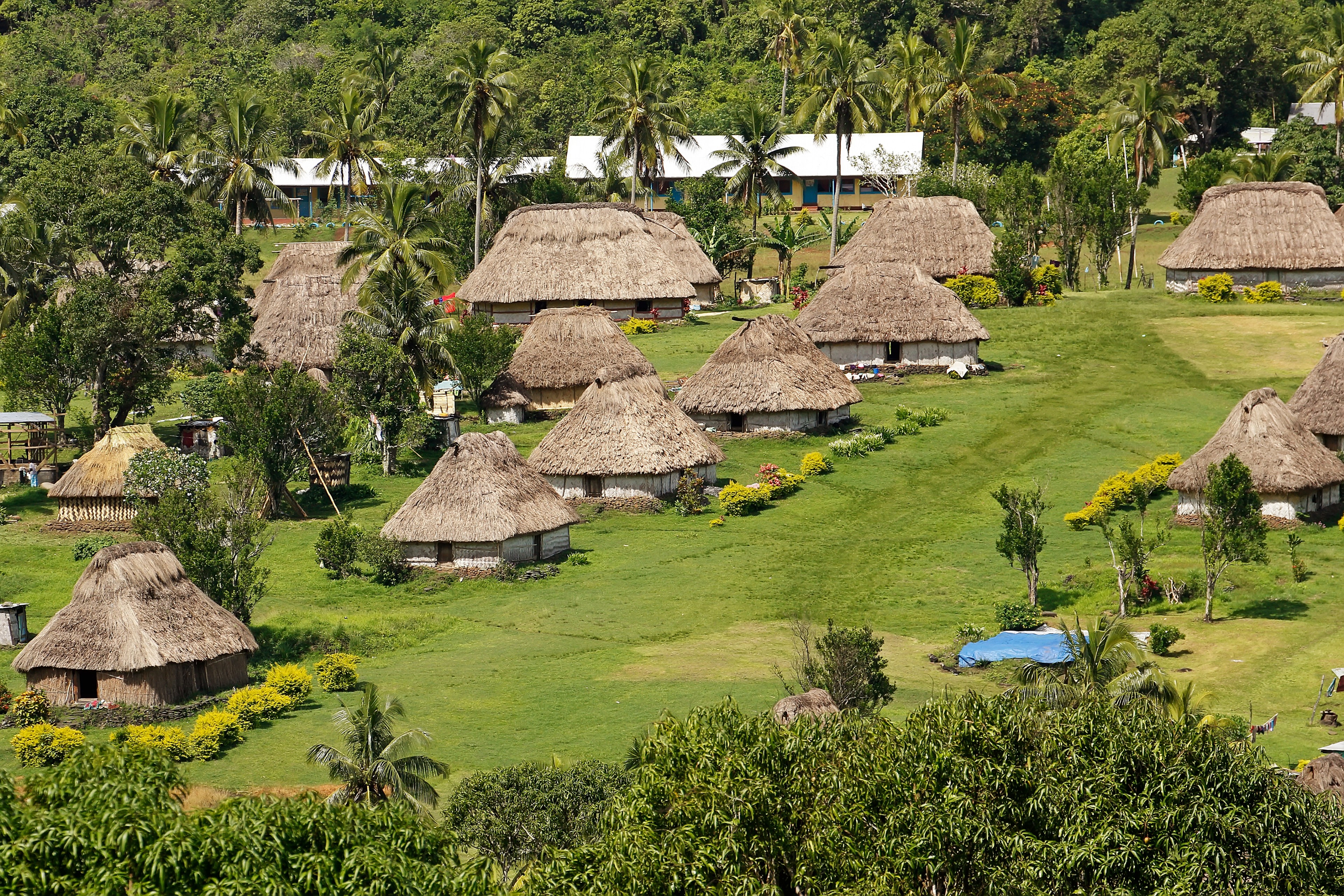 Viti Levu | Pelago