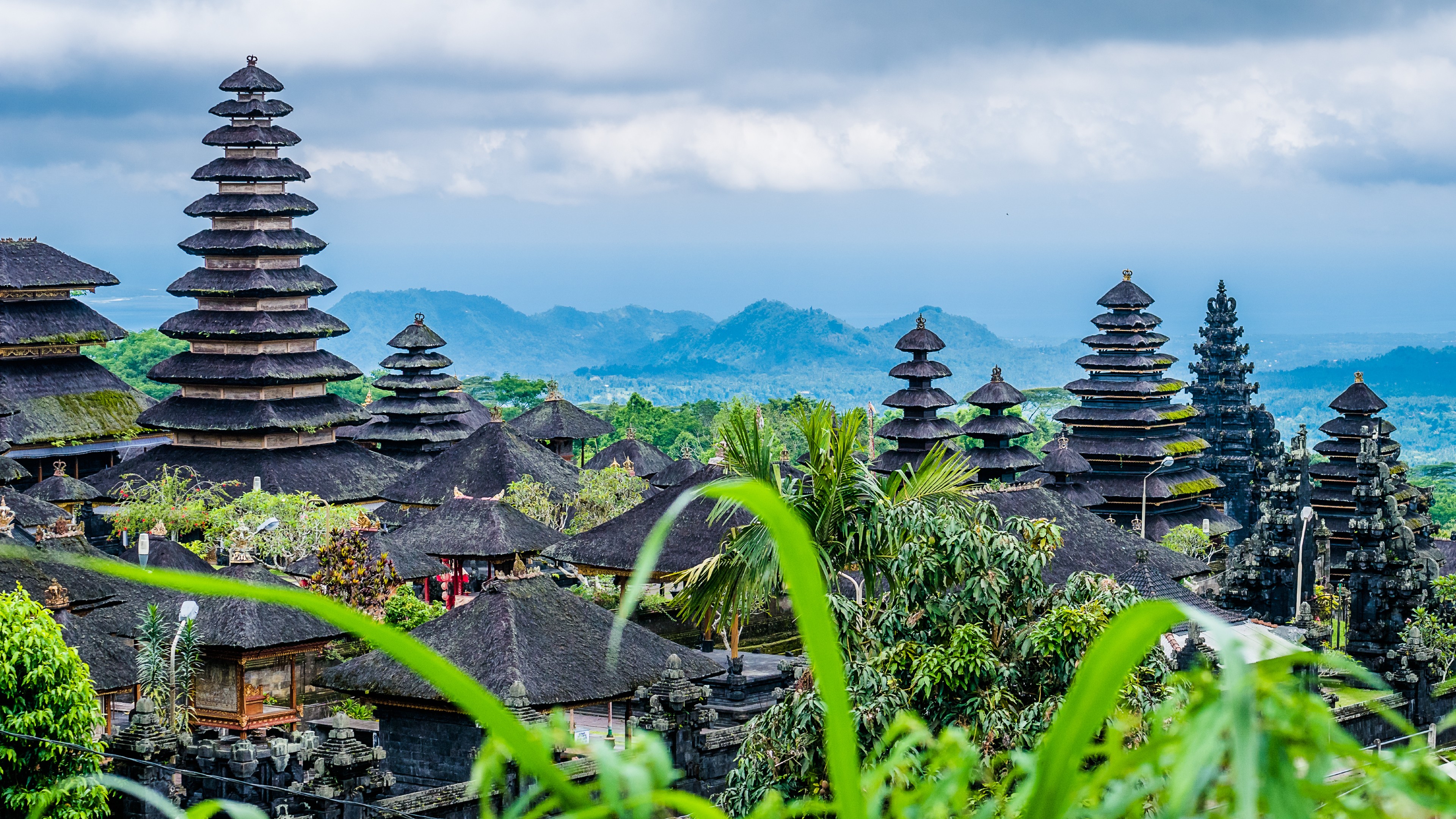 Bali | Indonesia | Pelago