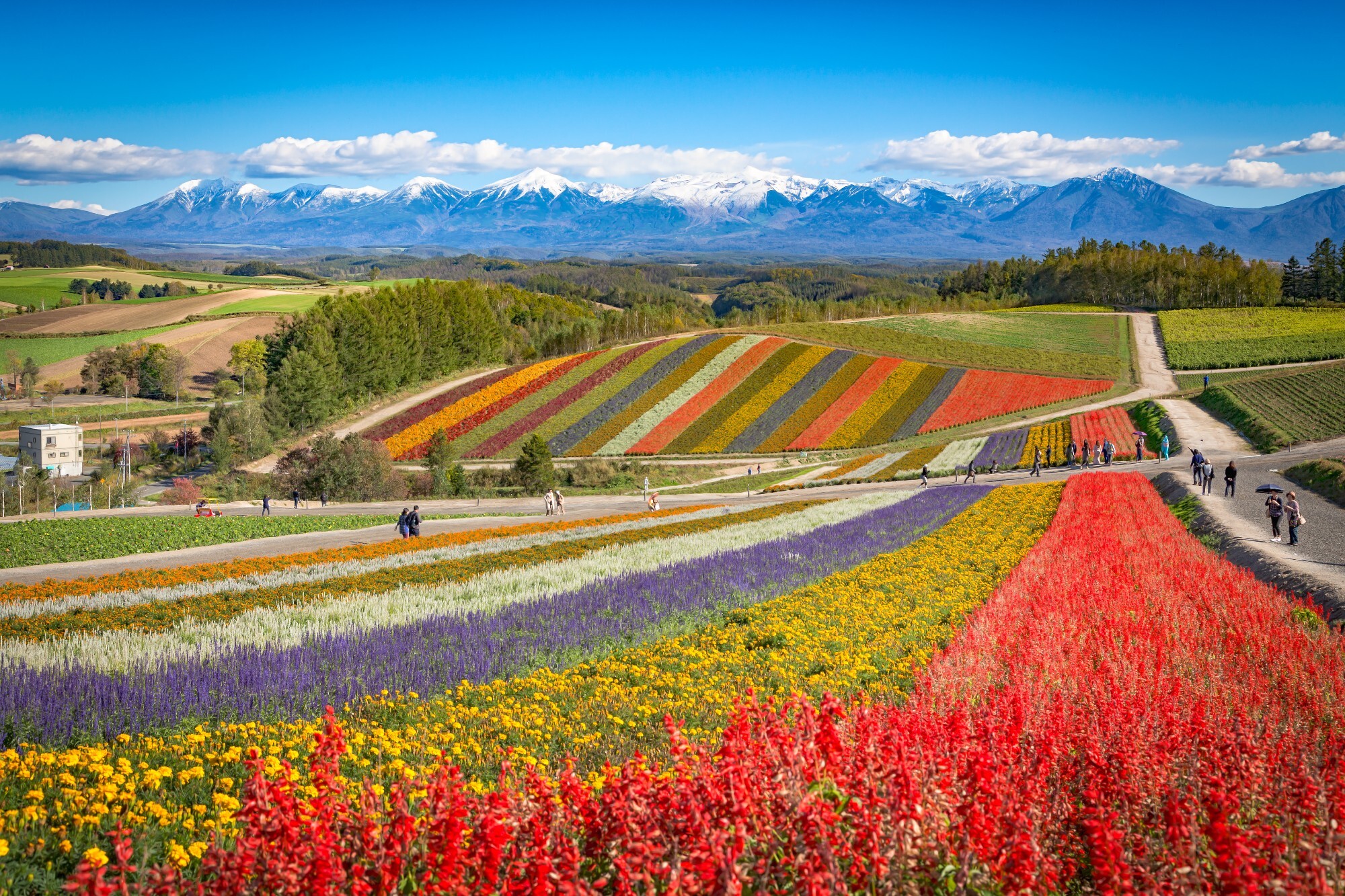 Hokkaido | Japan | Pelago