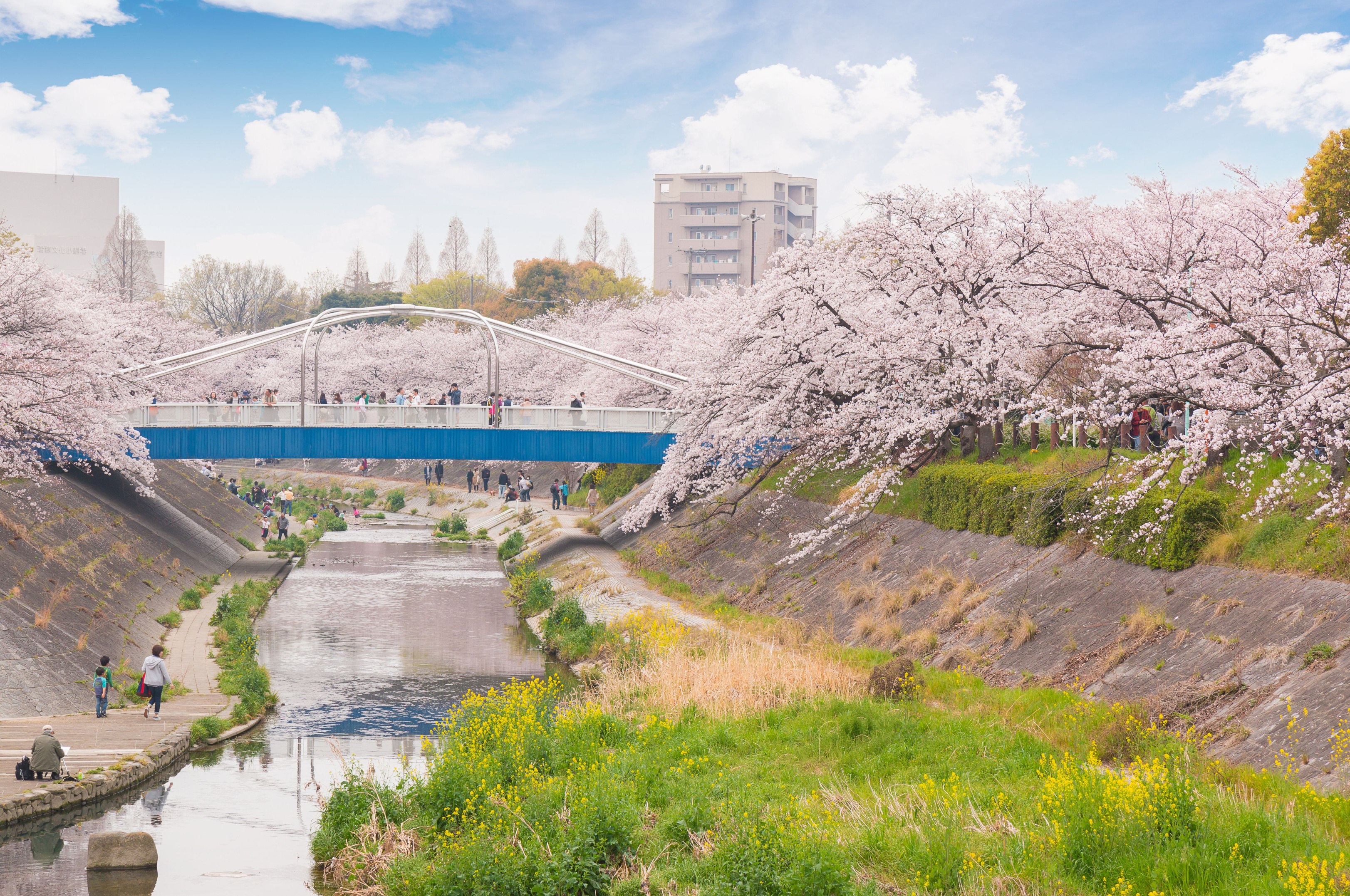 Nagoya | Japan | Pelago