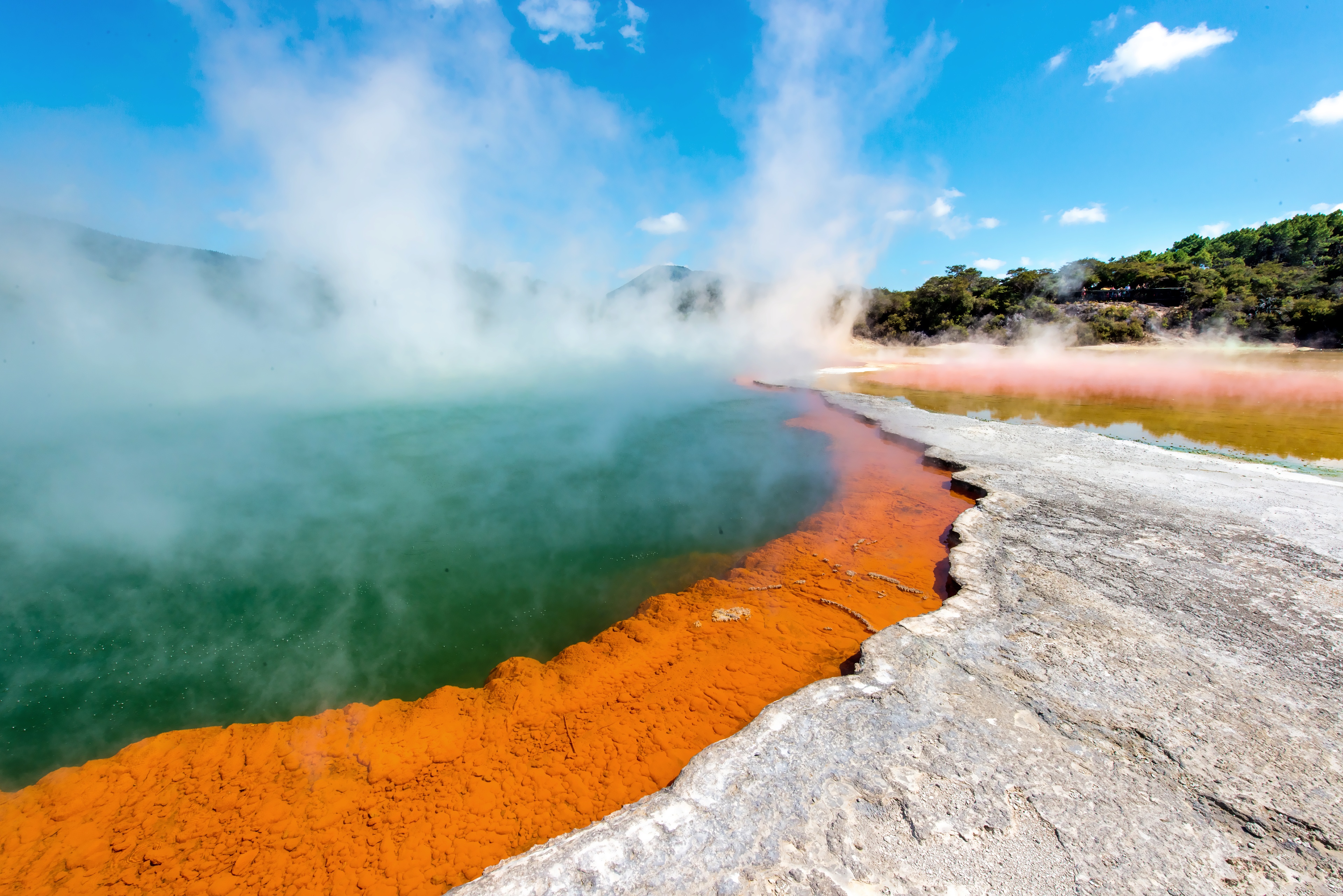 Rotorua | Pelago