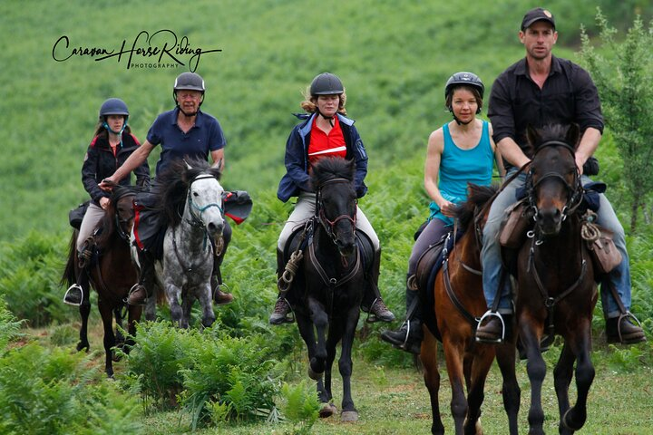 3-Hour Guided Drino's Valley Ride - Photo 1 of 8