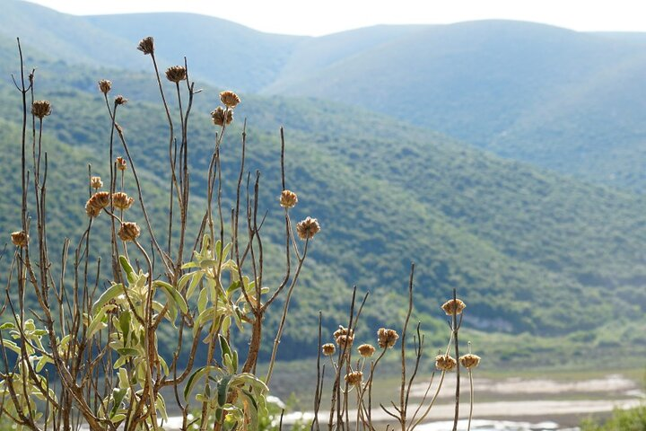 Full day tour in the southern part of Vlora - Photo 1 of 2