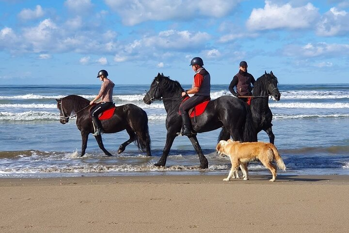 Horseback riding in Durrës - Photo 1 of 6