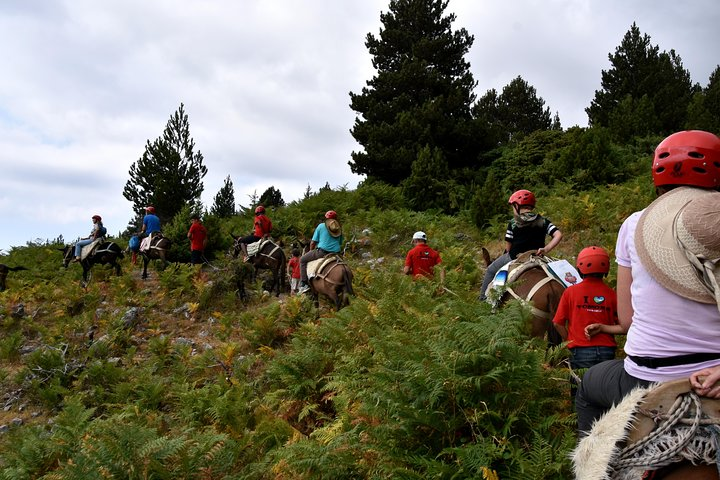 Off Road from Berat to Permet