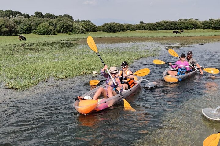 Our kayak private harbor 