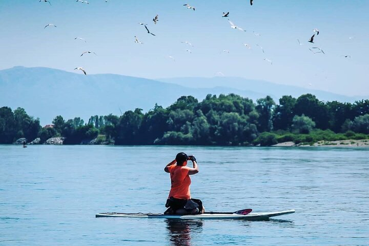 Stand Up Paddle tour from Tirana Albania to Skadar Lake & Buna River - Photo 1 of 8