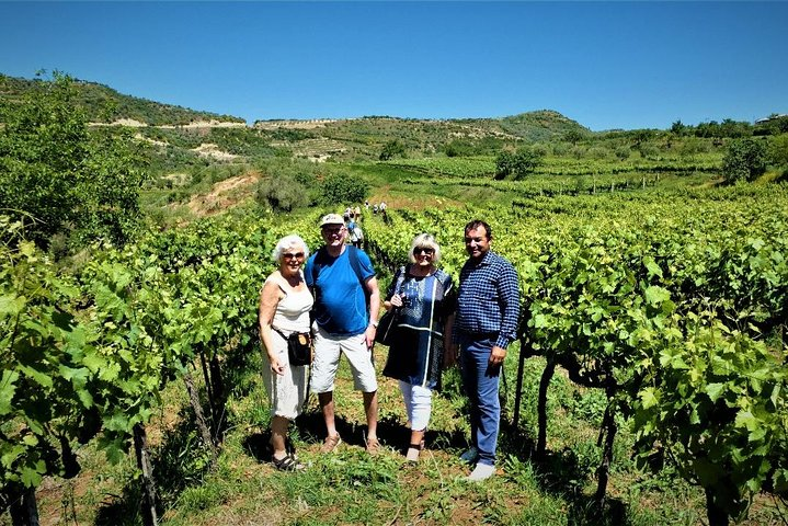 Winetasting tour in Alpeta winery - Roshnik village by 1001 Albanian Adventures - Photo 1 of 13