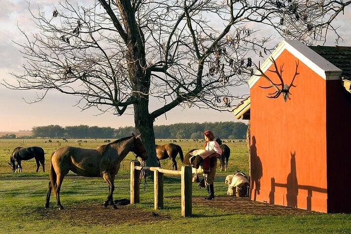 100% Gaucho Experience in a Traditional Estancia - Photo 1 of 6