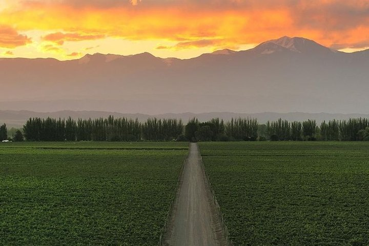 4-Days Experiencing Mendoza - Secrets of Wine & Nature! - Photo 1 of 13