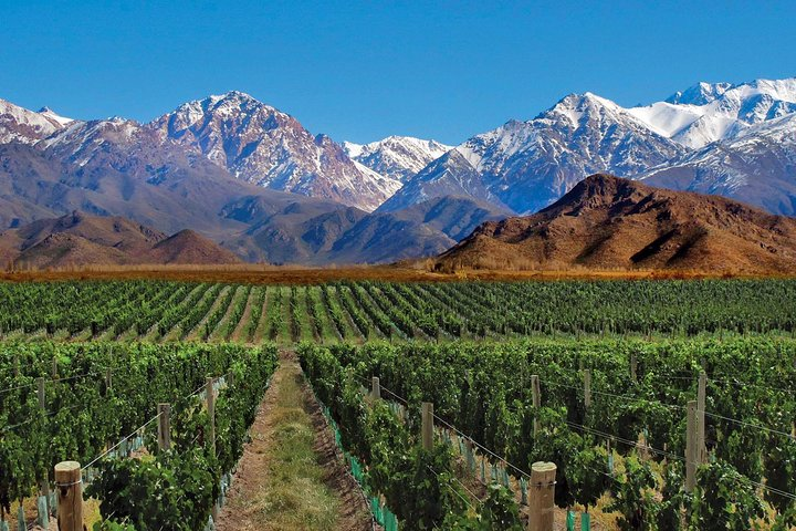 4-Days Trip to Mendoza and The Andes - Photo 1 of 7