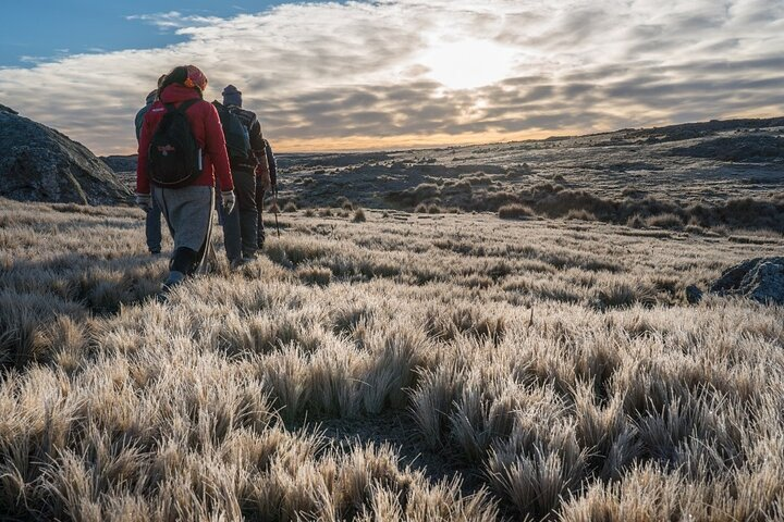 5.5-Hour Nat Park w/ Hiking *Shore Excursion* USHUAIA (Shared tour for cruises) - Photo 1 of 7