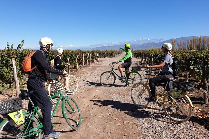 Bike, wines & lunch at Luján de Cuyo (Mendoza) - Photo 1 of 11