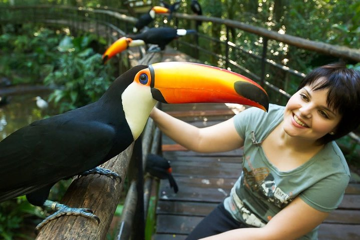 Brazilian Side Falls: Brazilian Falls Tour with Parque Das Aves: - Photo 1 of 18