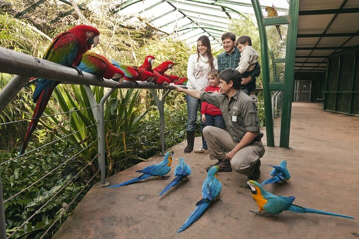 Buenos Aires: Temaiken Biopark including Transfers - Photo 1 of 14