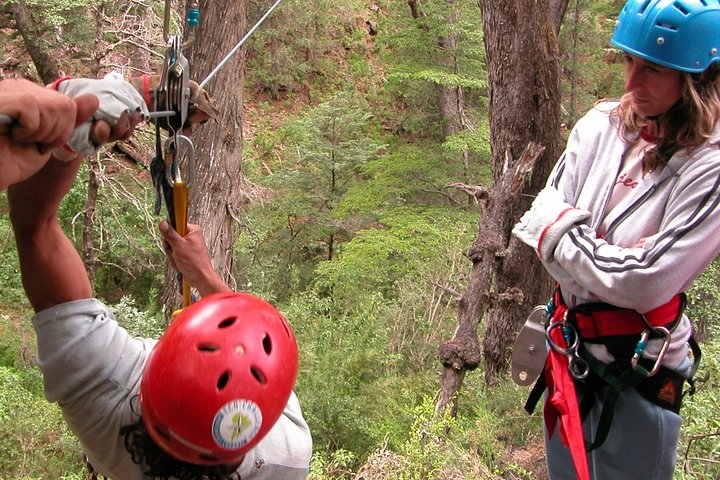 Canopy Colonia Switzerland - Photo 1 of 5