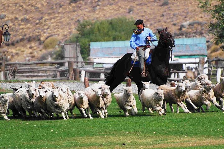 Estancia 25 de Mayo in El Calafate - PM visit with dinner - Photo 1 of 2