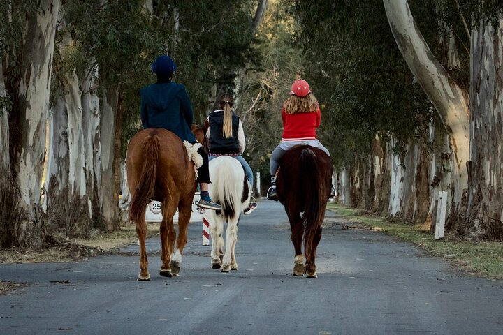 Experience with Horses, Polo Classes, and barbecue in Buenos Aires - Photo 1 of 25