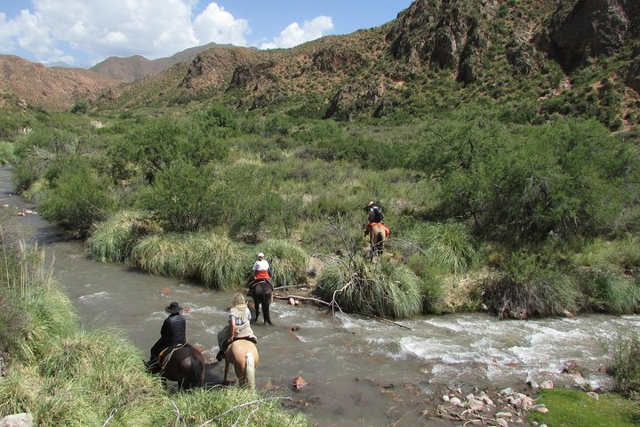 Full day ride at the foot of The Andes  - Photo 1 of 25