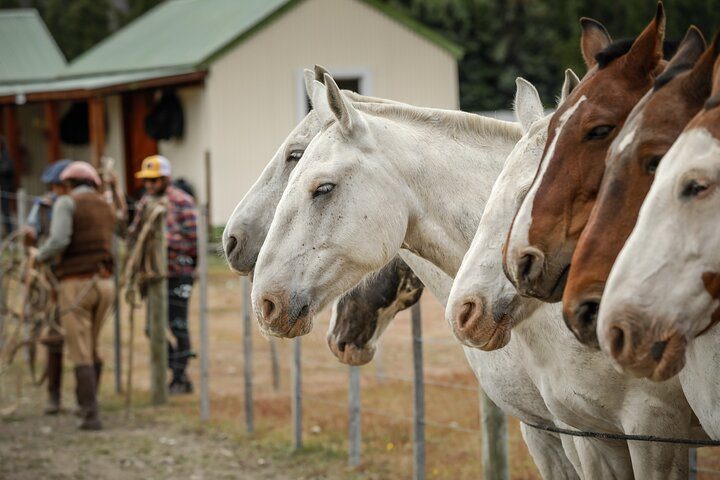 Horse Back Riding Expedition - Photo 1 of 8