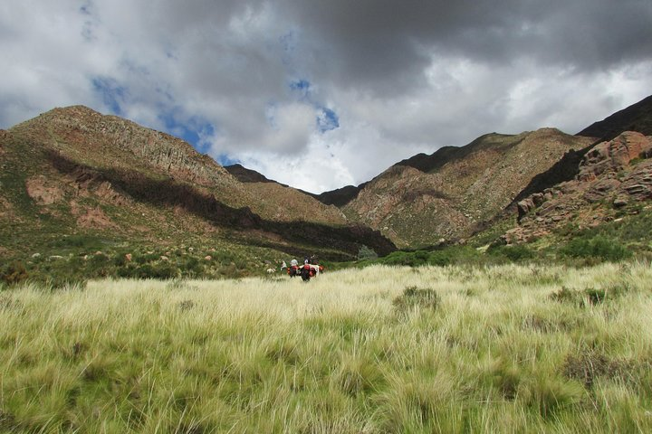 Horseback expedition to The Andes, 3 days - Photo 1 of 13