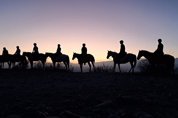 Horseback Riding at Sunset and Dinner at the Estancia in Mendoza - Photo 1 of 14