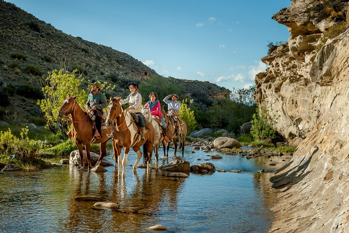 Horseback Riding Experience in the Estancia 25 de Mayo Nature Reserve - Photo 1 of 10