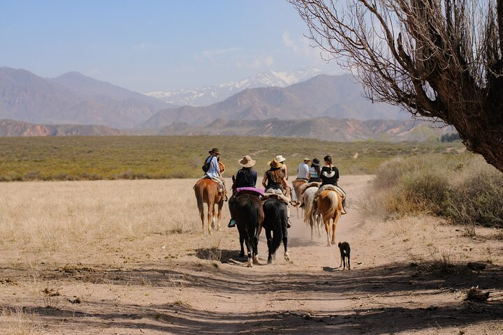 The group sets out on the journey