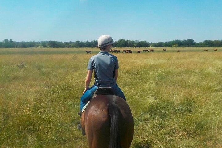 Horseback Riding Tour and Asado in Argentine Countryside - Photo 1 of 8