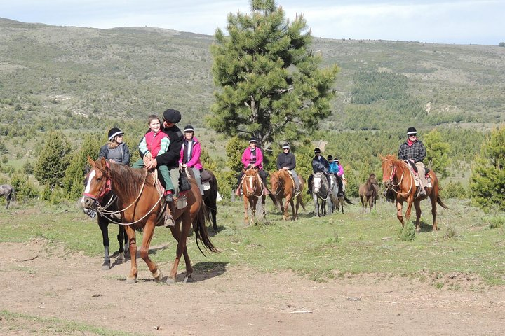 Horseback Riding with Asado in San Carlos de Bariloche, Argentina - Photo 1 of 10