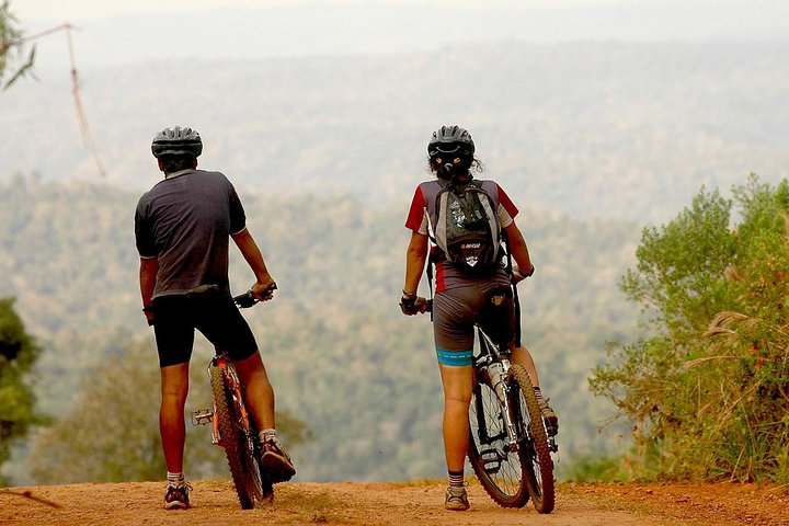 "Yaguarundí Road" Bike Tour