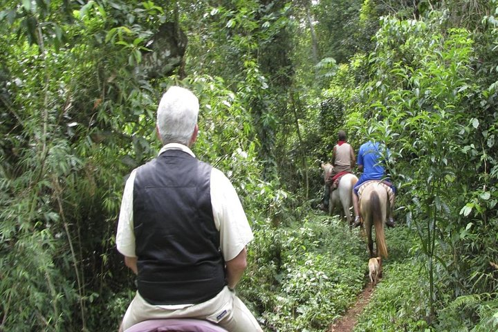 Jungle Horseback Ride in Iguazu with Guaraní Community - Photo 1 of 3