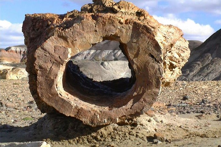 Petrified Trunk