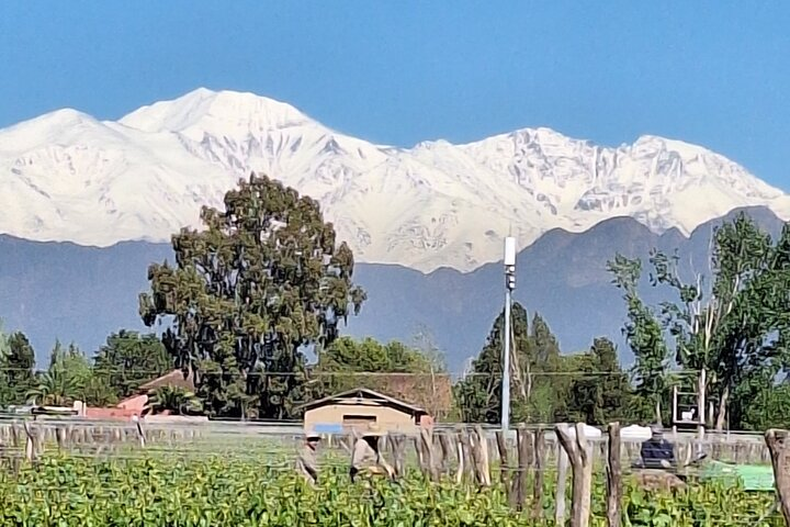 Bodega Vistalba