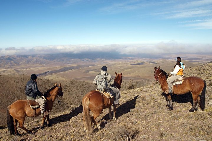 Horseback Riding Tour from Mendoza