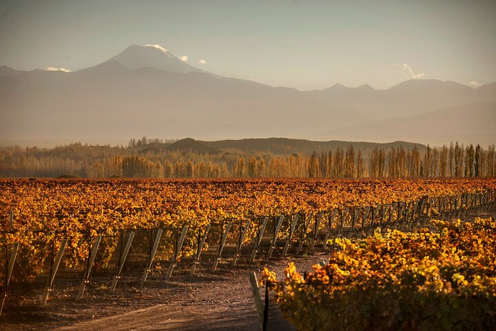 Mendoza Malbec Experience - Photo 1 of 3