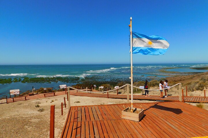 Peninsula Valdes Shore Excursions Tours - Photo 1 of 11