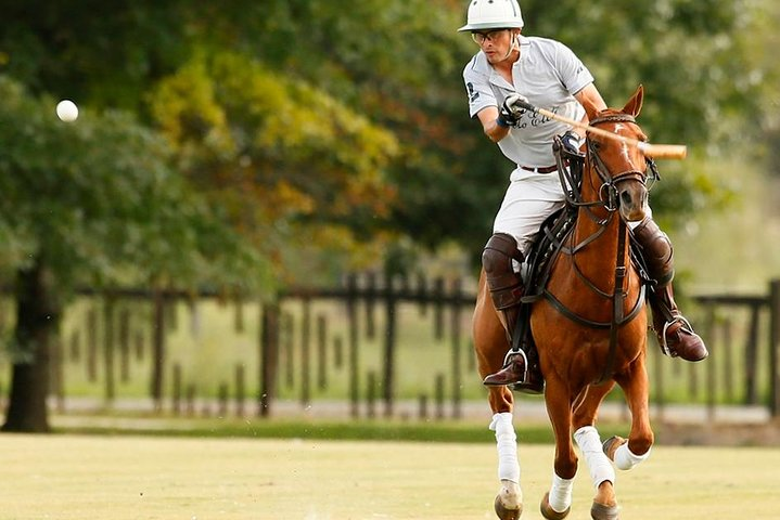 Polo Lessons