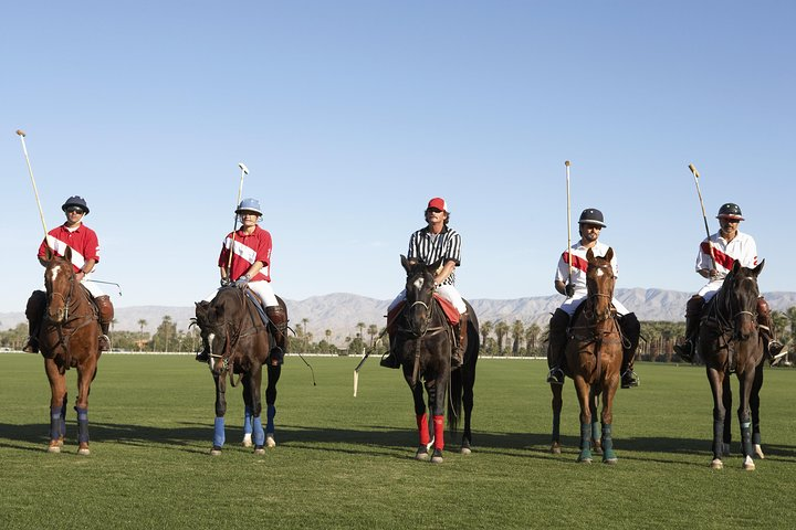 Argentina Polo Match