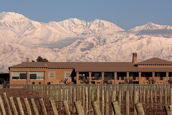 Winery Vistalba + Lunch Susana Balbo. Private transportation - Photo 1 of 15