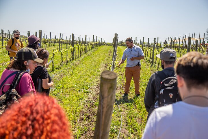 Premium Wine Tasting in Bodega Gamboa with Lunch - Photo 1 of 10