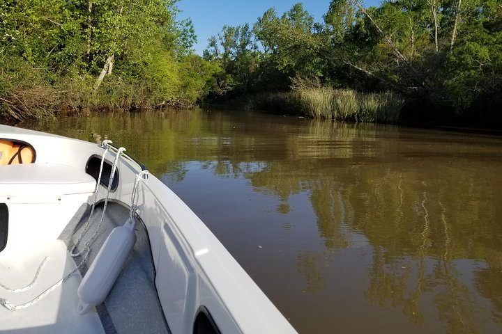 Private Boat TripTour to Tigre Delta - Photo 1 of 12